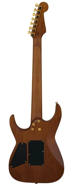 Charvel Angel Vivaldi PM DK24 GT7 Nat, detail 2