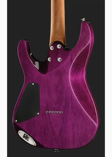 Charvel Pro Mod Plus DK24 VRAD, detail 5