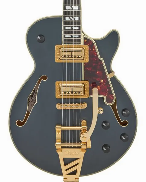 DAngelico Deluxe Bobby Weir 3 MS, detail 4