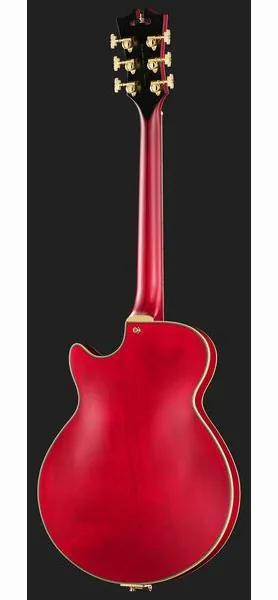 DAngelico Deluxe Bobby Weir 3 STW, detail 3