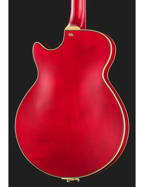 DAngelico Deluxe Bobby Weir 3 STW, detail 5