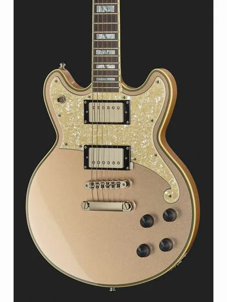 DAngelico Deluxe Brighton Desert Gold, detail 4