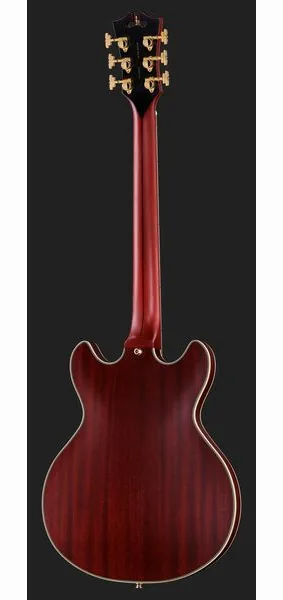 DAngelico Deluxe Mini DC Satin Trans Win, detail 3
