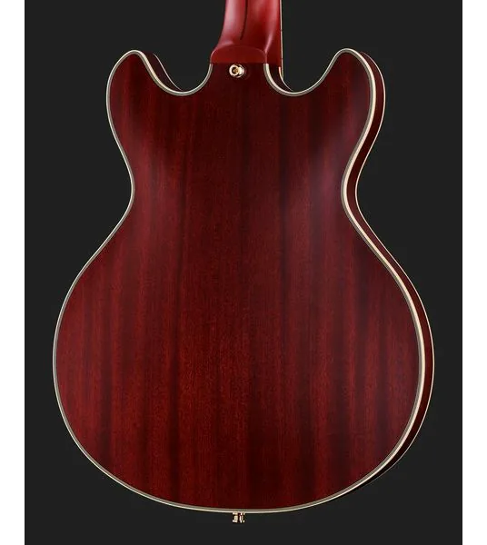 DAngelico Deluxe Mini DC Satin Trans Win, detail 5