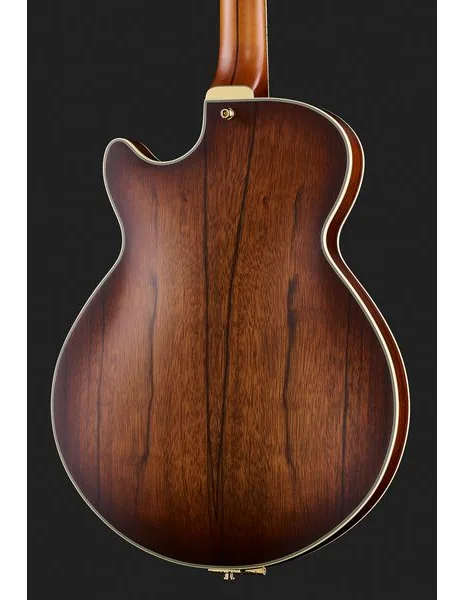 DAngelico Deluxe SS Satin Brown Burst, detail 5