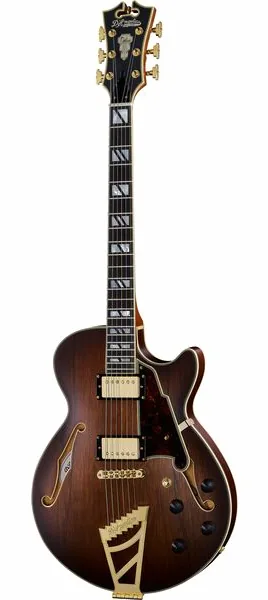 DAngelico Deluxe SS Satin Brown Burst, front view