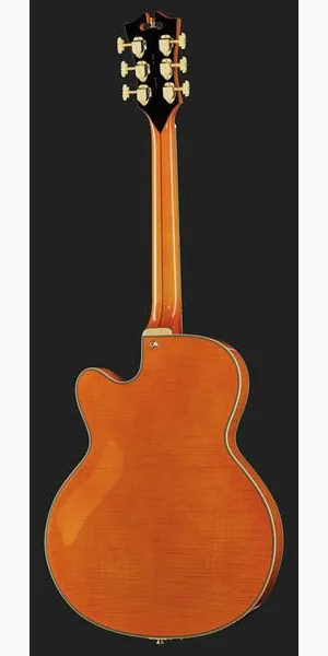 DAngelico Excel 59 Vintage Natural, detail 3