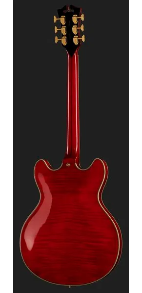 DAngelico Excel DC Trans Cherry, detail 3