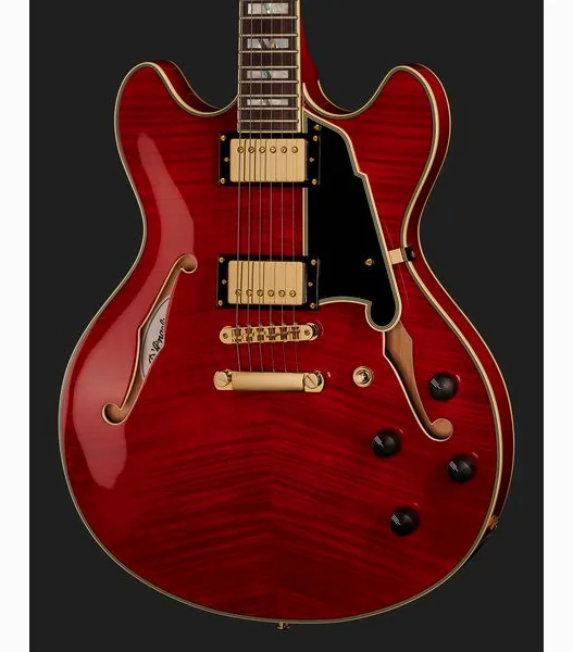 DAngelico Excel DC Trans Cherry, detail 4