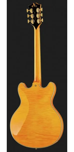 DAngelico Excel DC Vintage Natural, detail 3