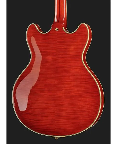 DAngelico Excel DC Viola, detail 5