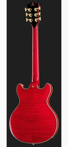 DAngelico Excel Mini DC Trans Cherry 25, detail 3