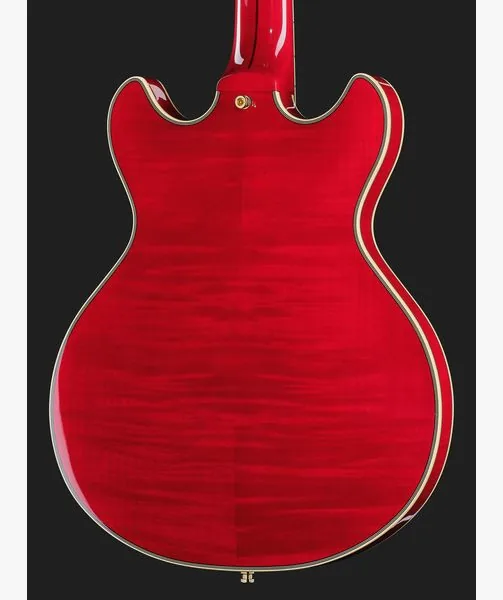 DAngelico Excel Mini DC Trans Cherry 25, detail 5
