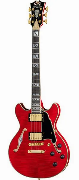 DAngelico Excel Mini DC Trans Cherry 25, front view
