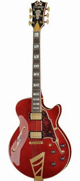 DAngelico Excel SS Viola, front view
