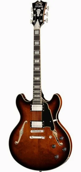 DAngelico Premier DC Brown Burst, front view