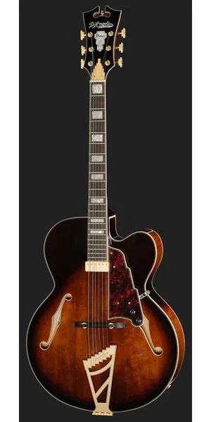 DAngelico Premier EXL1 Brown Burst, detail 2
