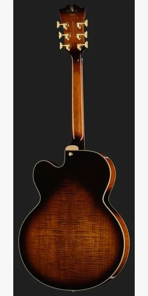 DAngelico Premier EXL1 Brown Burst, detail 3