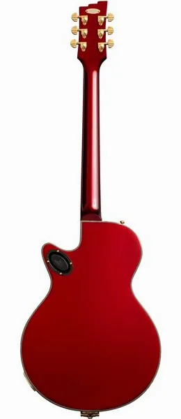Duesenberg Starplayer TV Phonic Balboa PR, detail 3
