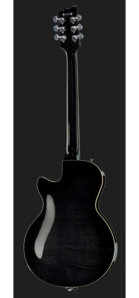 Duesenberg Starplayer TV Plus BK, detail 3