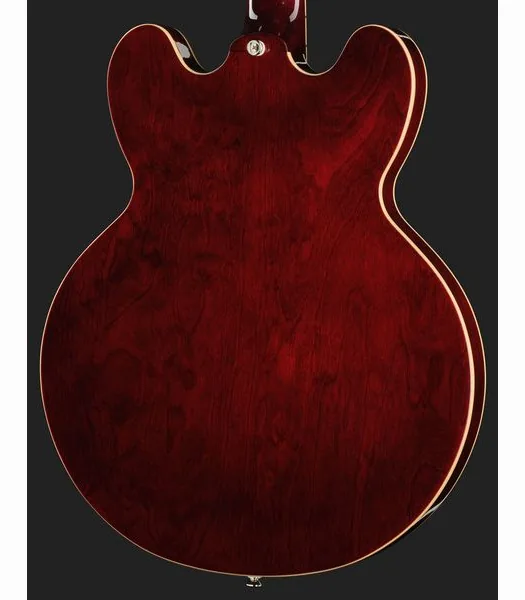 Epiphone Noel Gallagher Riviera, detail 5