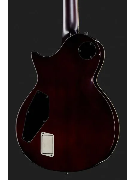 ESP E-II Eclipse FT FM TSB, detail 5