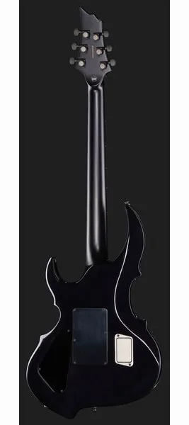 ESP E-II FRX FM RDB, detail 3