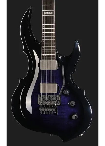 ESP E-II FRX FM RDB, detail 4