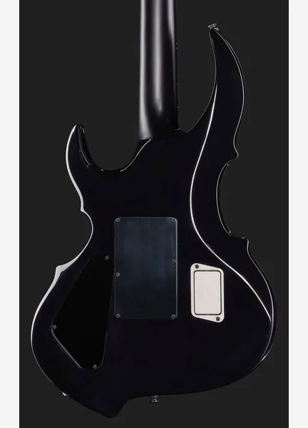 ESP E-II FRX FM RDB, detail 5
