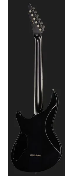 ESP E-II Horizon-III FM RDB, detail 3