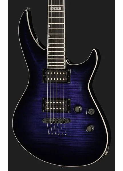 ESP E-II Horizon-III FM RDB, detail 4