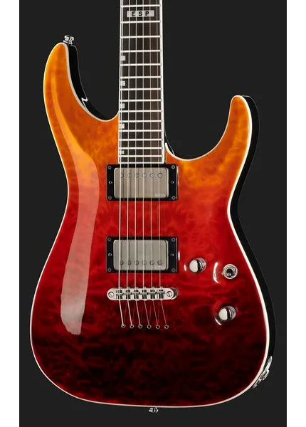 ESP E-II Horizon NT II TE AM Fade, detail 4