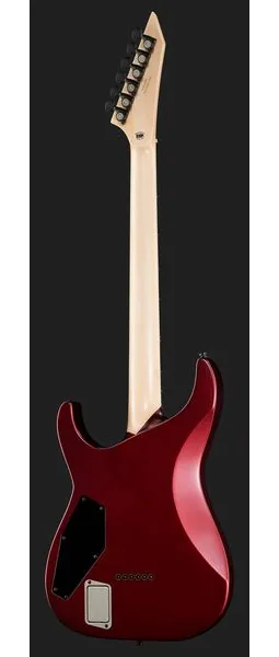 ESP E-II M-I NT DCARS, detail 3