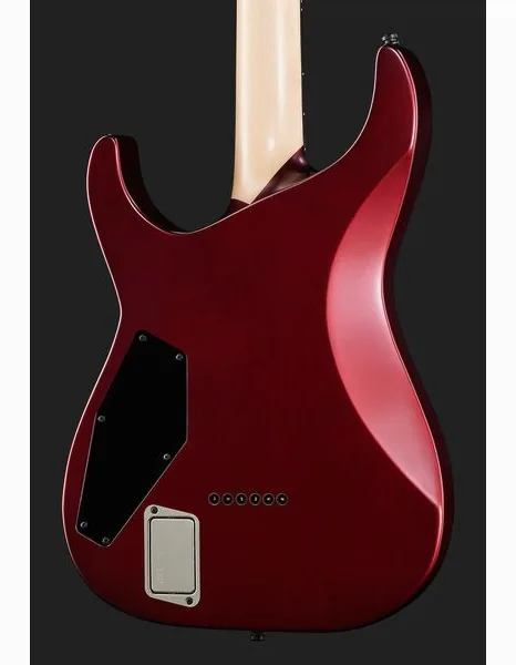 ESP E-II M-I NT DCARS, detail 5