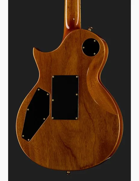 ESP Eclipse FR QM SD TES, detail 5