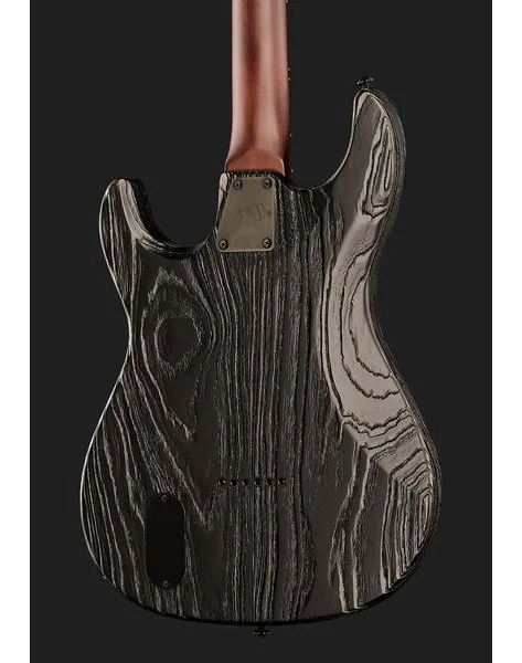 ESP LTD SN-1000 HT Silver Blast, detail 5