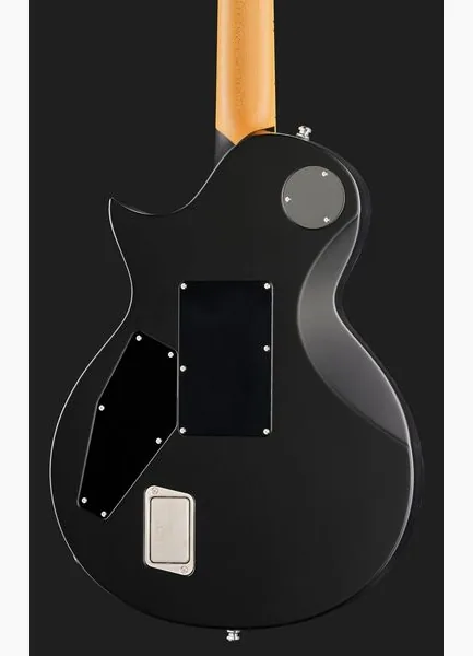 ESP RZK-II Richard Z Kruspe Burnt, detail 5