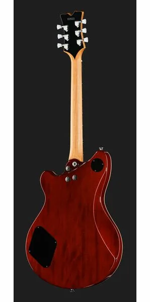 Evh SA-126 Special QM El Natural, detail 3