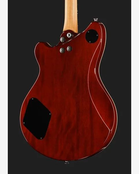 Evh SA-126 Special QM El Natural, detail 5