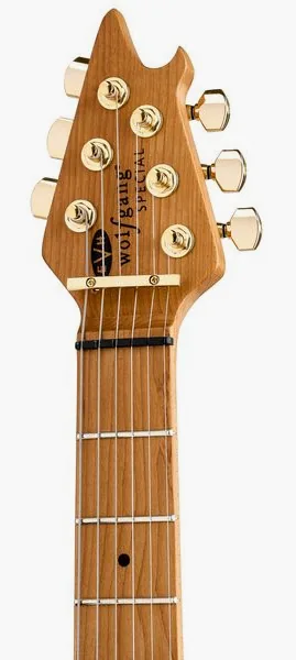 Evh Wolfgang Special T.O.M OXB, detail 5