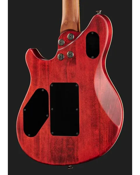Evh Wolfgang WG Std Exotic BW, detail 5