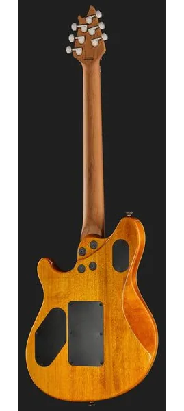Evh Wolfgang WG Std QM TA, detail 3