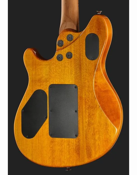 Evh Wolfgang WG Std QM TA, detail 5
