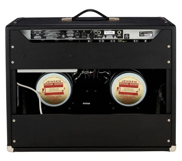 Fender 65 Twin Reverb, detail 5