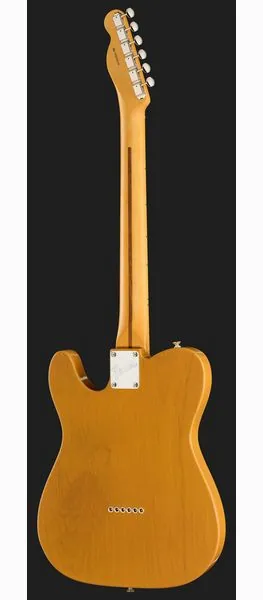 Fender Am Pro Clsc Tele MN BTB, detail 3