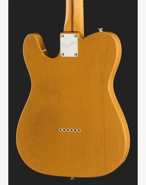 Fender Am Pro Clsc Tele MN BTB, detail 5