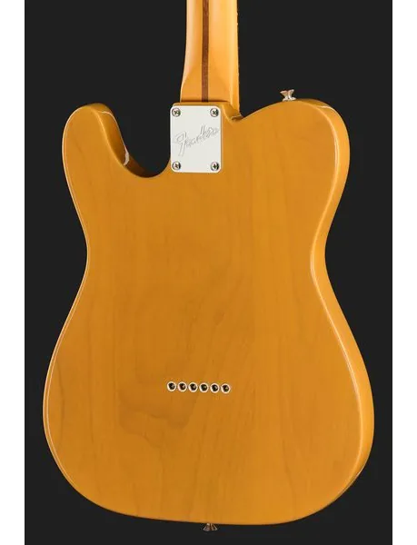 Fender Am Pro Clsc Tele SSS RW BTB, detail 5