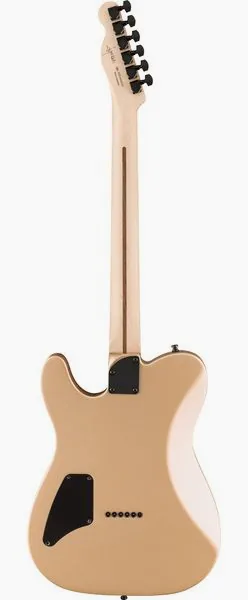 Fender Jim Root Telecaster EB SHG, detail 2