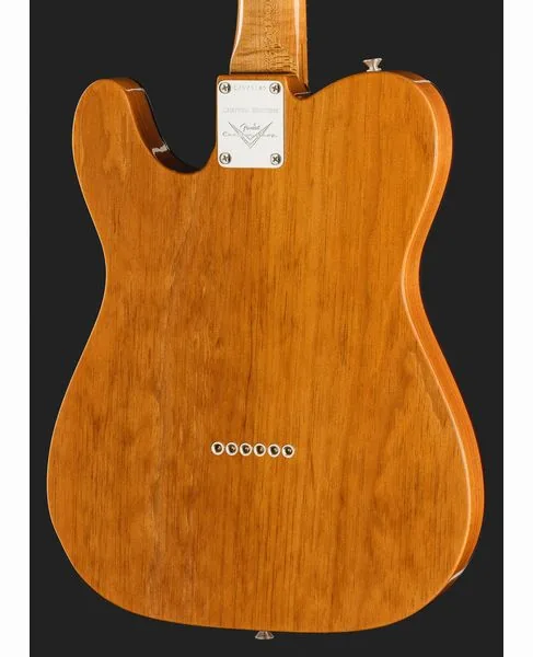 Fender LTD Knotty Tele NOS Aged AN, detail 5