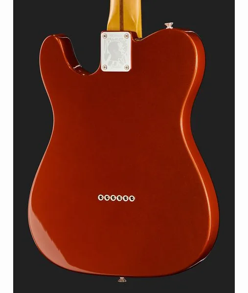 Fender LTD Raphael Saadiq Tele RW DRM, detail 5